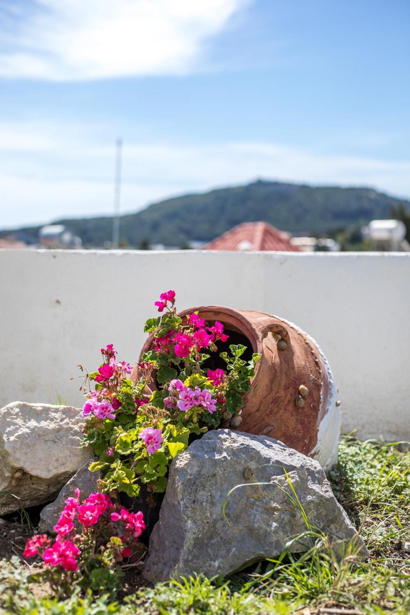 Sunny Villa Faliraki Exterior photo